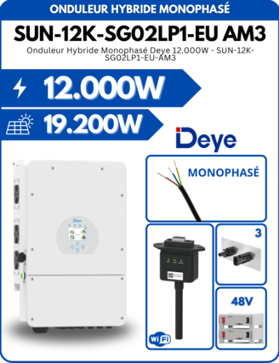 Onduleur Hybride Monophasé Deye SUN-12K-SG02LP1-EU-AM3 12.000W