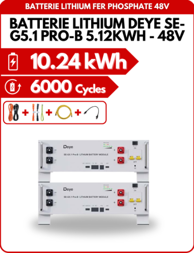 Pack de 2 Batteries Lithium Deye SE-G5.1 PRO-B  5.12KWH - 48V