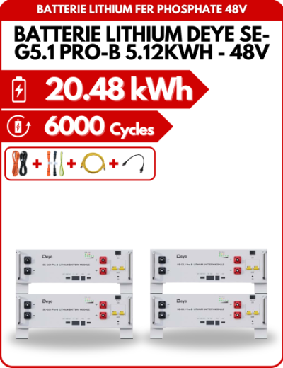 Pack de 4 Batteries Lithium Deye SE-G5.1 PRO-B  5.12KWH - 48V