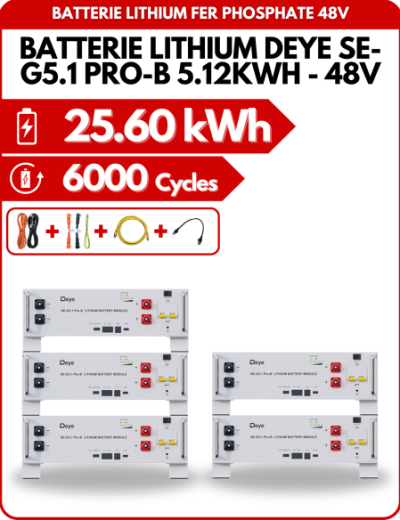 Pack de 5 Batteries Lithium Deye SE-G5.1 PRO-B  5.12KWH - 48V