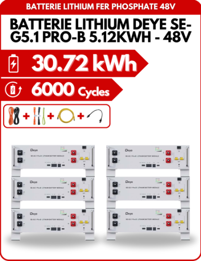 Pack de 6 Batteries Lithium Deye SE-G5.1 PRO-B  5.12KWH - 48V