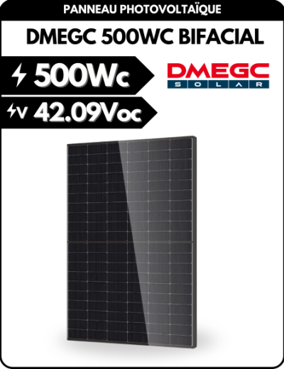 Panneau solaire - DMEGC N-type TOPCon 500Wp Bifacial - Transparent